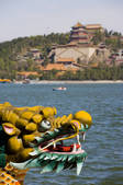 tkf005_2306169