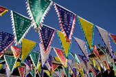 tkf005_2308963