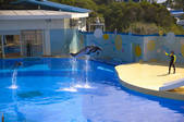 tkf005_2310943