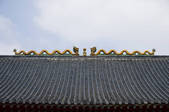 tkf005_2315521