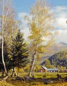 tkf005_2316476