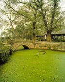 tkf005_2316479