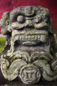 tkf005_2320036