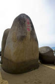 tkf005_2320250