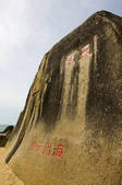 tkf005_2320256
