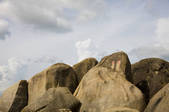 tkf005_2320267