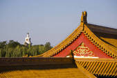 tkf005_2320682