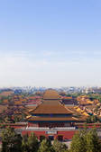 tkf005_2325282
