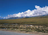 tkf005_2347811