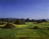 tkf005_2350198