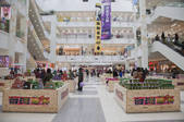 tkf005_2367129