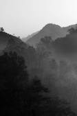 tkf002_133411