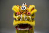 tkf005_238868
