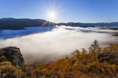 tkf005_247252
