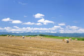 tkf005_301123