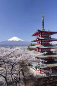 tkf005_302071