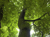 tkm005_106080